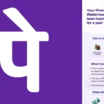 PhonePe यूजर्स के लिए बड़ा झटका, अब Wallet यूज नहीं करने पर कटेंगे 100 रुपये!