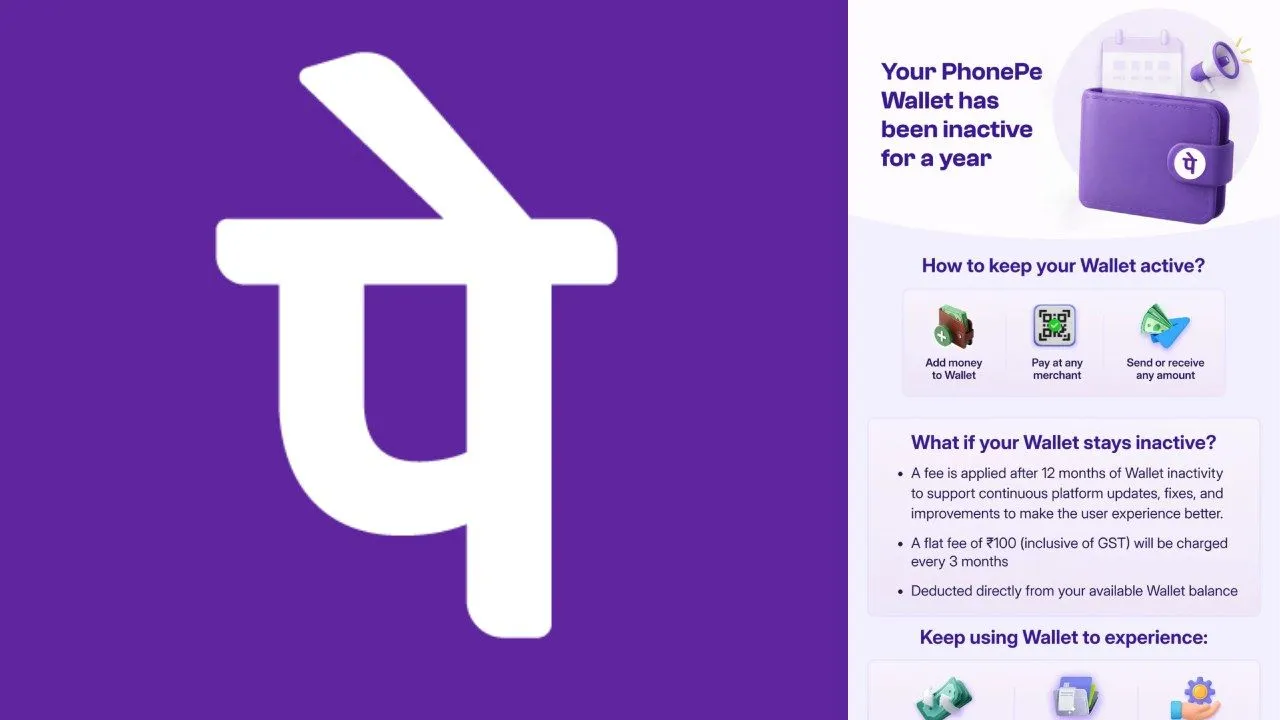 PhonePe यूजर्स के लिए बड़ा झटका, अब Wallet यूज नहीं करने पर कटेंगे 100 रुपये!