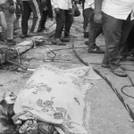 CG News: Electric pole falls on Anganwadi worker who had come to buy vegetables; she died on the spot.