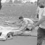 MP Accident: 3 killed, woman injured in head-on collision between two motorcycles.