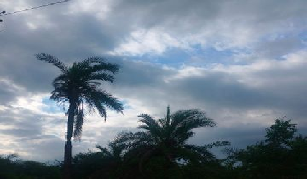 CG Weather News: Relief from heat and humidity likely; monsoon activity to intensify in Chhattisgarh starting tomorrow.