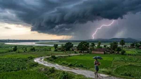 CG Weather News: Weather takes a U-turn in Chhattisgarh; rain expected for the next 7 days starting today; alert issued for thunderstorms and lightning strikes.