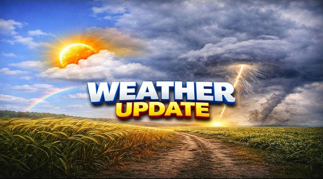 CG Weather News: Monsoon has arrived, but rain is still missing; Raipur residents are suffering due to humidity and heat.