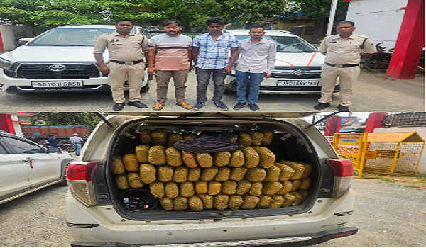 CG News: 300 kg of marijuana being smuggled in luxury cars recovered, 3 smugglers arrested