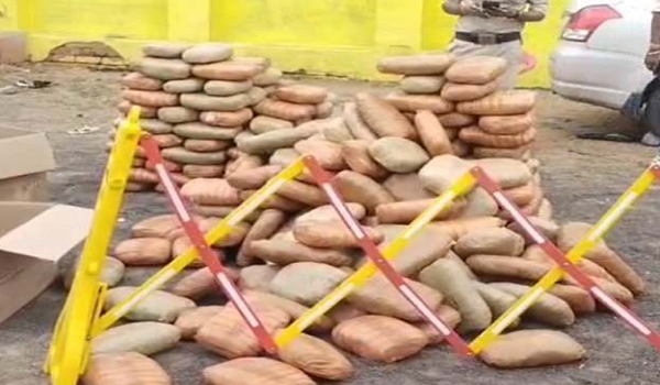 CG News: Smugglers panicked after the blockade, criminals fled leaving behind two cars, 565 kg of marijuana recovered.