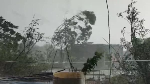 MP News: Heavy rain accompanied by storm, weather changes in Shajapur, relief from heat