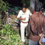 Bihar News: A huge peepal tree fell on a house due to a strong storm, causing a painful death of four innocent children including their mother.