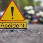 CG News: Swarm of bees proves fatal; car carrying couple returning from B.Ed. exam crashes into a tree, wife dies.