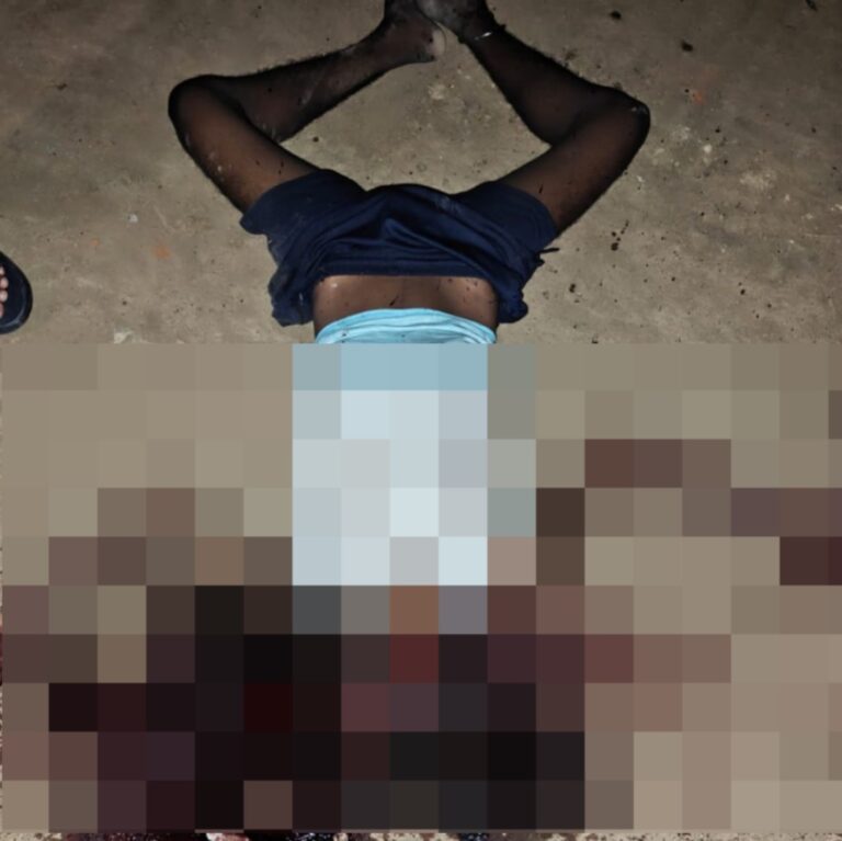 Raipur City Crime: Murder in WRS Colony; youth's face crushed with a stone to conceal identity; police have launched an investigation.