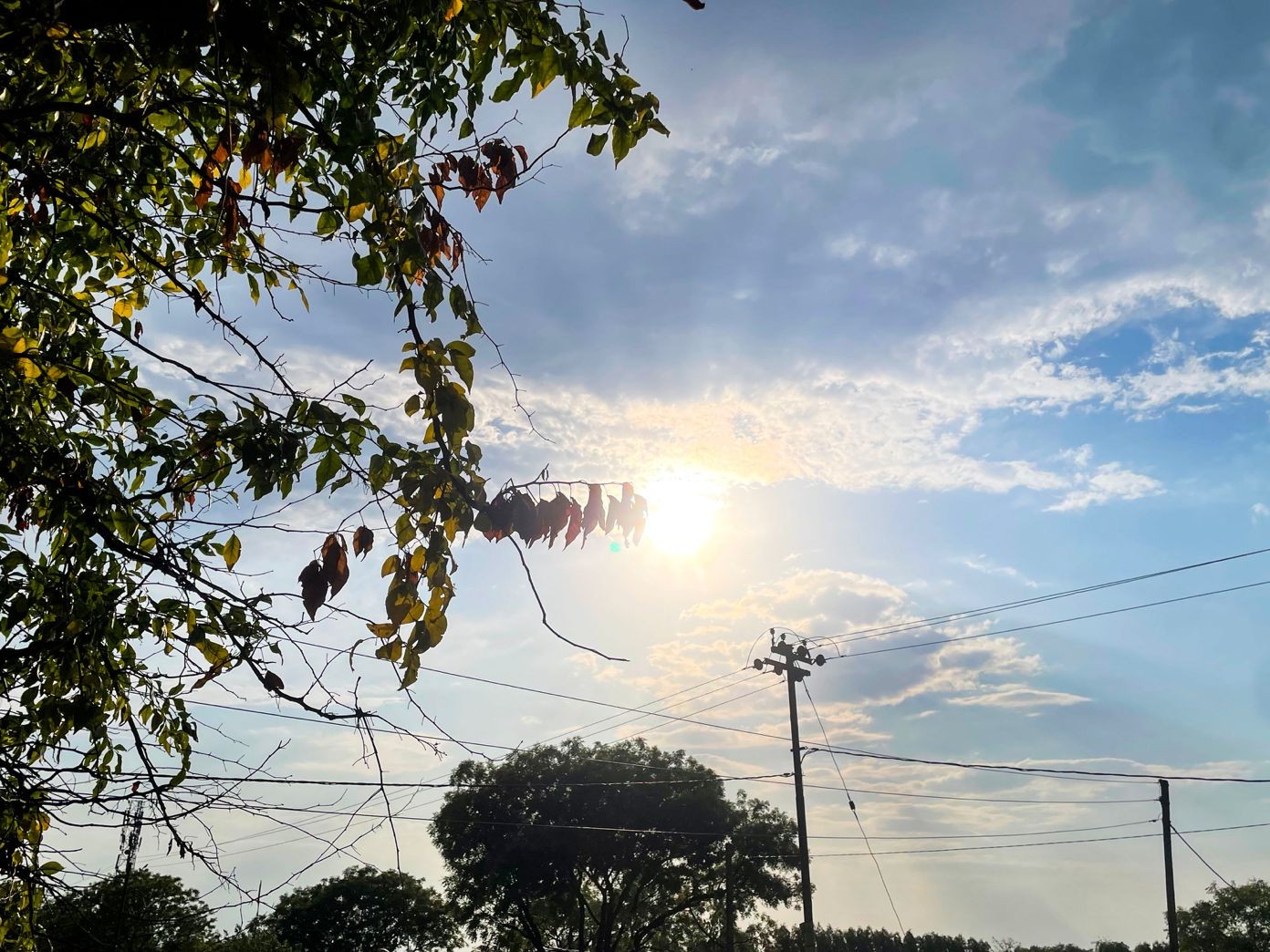 CG Weather News : मानसून की चाल सुस्त, गर्मी का सितम बरकरार, प्रदेश में 5 दिन आंधी-बारिश का अलर्ट