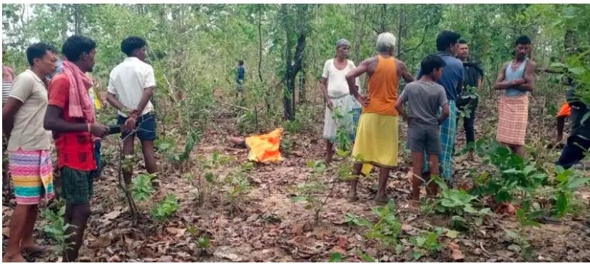 CG News: Tusked elephant repeatedly slams and kills a young man who had gone looking for a buffalo; panic grips the village.