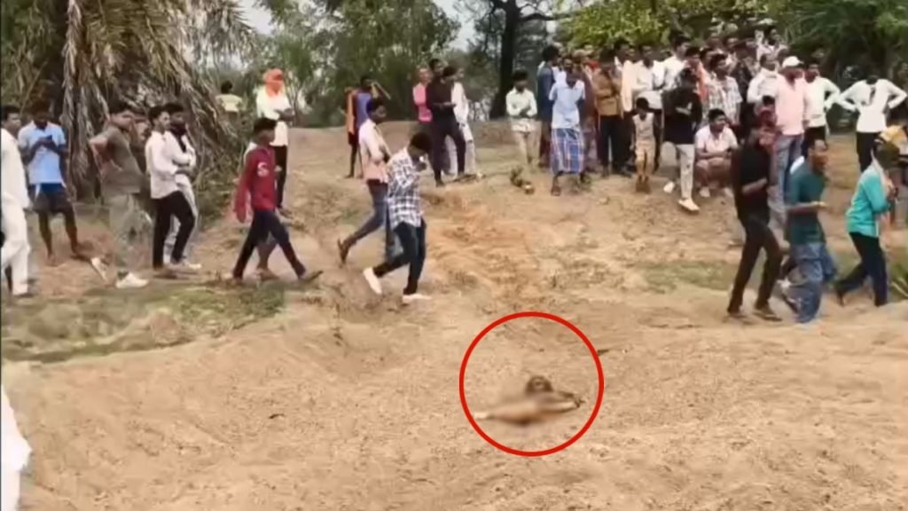 CG News: Young woman's body found buried in sand; murder or accident? Police investigating.