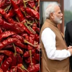 China-India : चीन ने चावल के बाद ठुकराई भारत की मिर्च, जानिए क्या है वजह