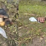 CG Crime: Woman's body found chopped into pieces and wrapped in a sheet; police investigating.