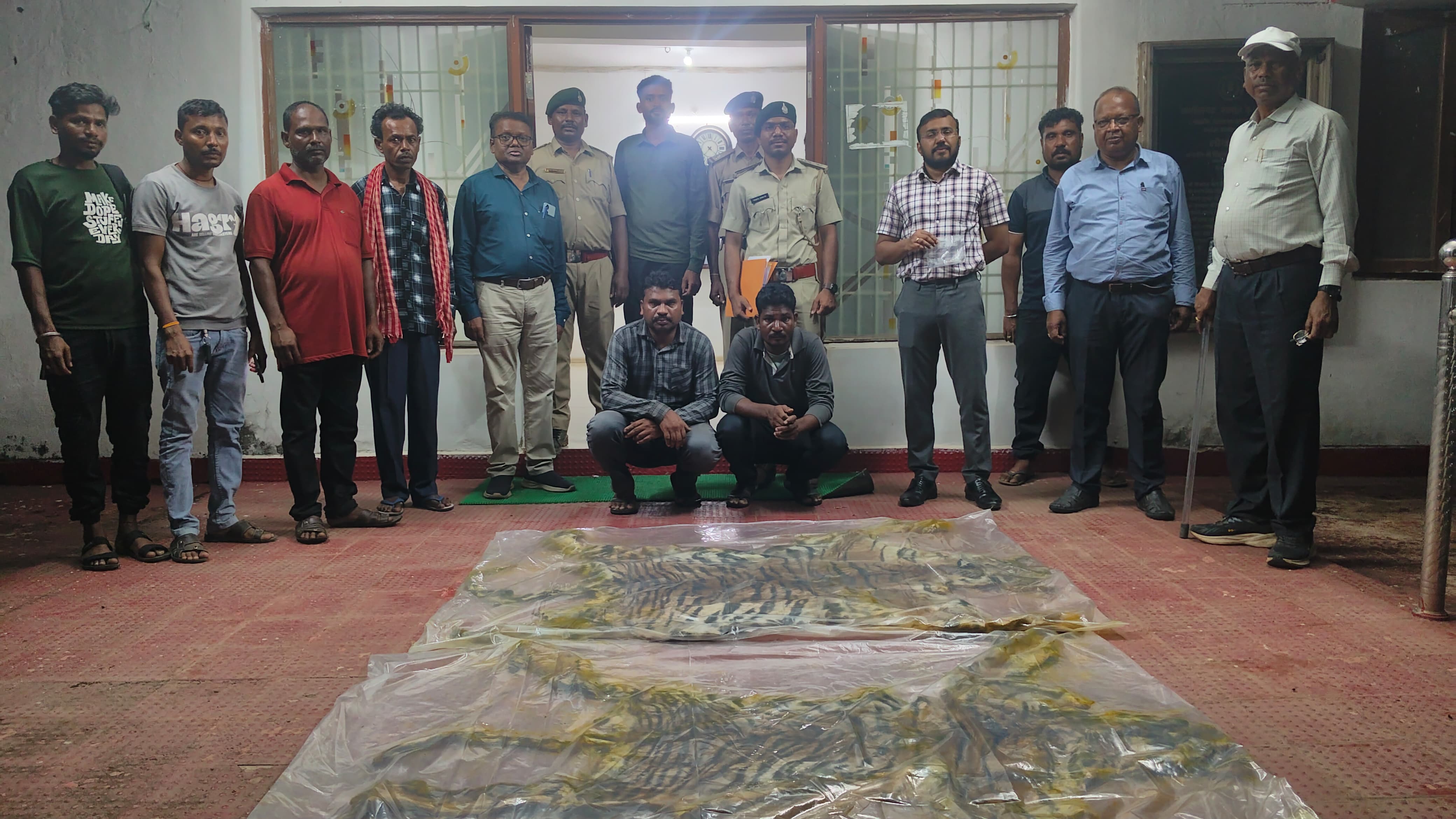CG News : वन विभाग की बड़ी कार्रवाई, दो बाघों और पैंगोलिन की खाल का जखीरा बरामद, दो संदिग्ध गिरफ्तार