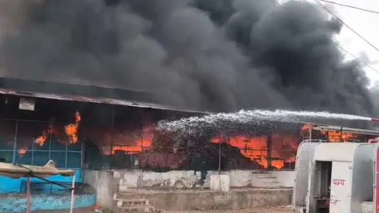 MP News : मुरैना की सबलगढ़ मंडी में लगी भीषण आग, 12 से 14 सब्जी गोदाम जलकर खाक; लाखों का नुकसान