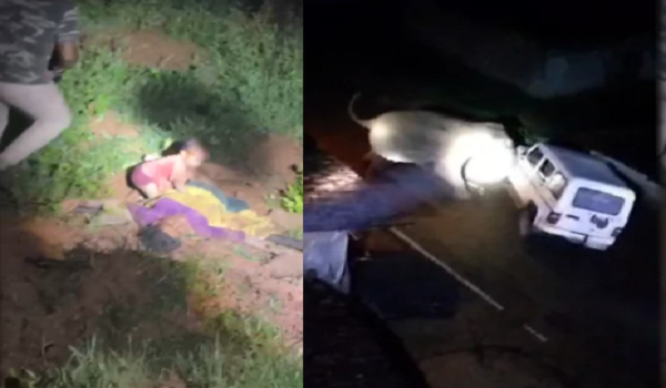CG News: Elephant enters settlement at dawn; tramples woman fleeing with infant; she succumbs in hospital.