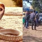 Jharkhand : शादी की खुशियां मातम में बदली, सोते समय सांप के डसने से दो महिलाओं की मौत