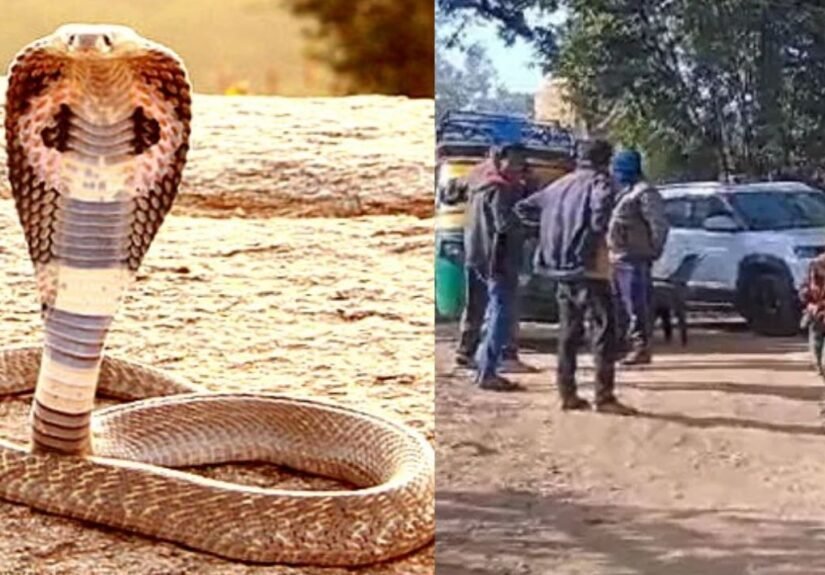 Jharkhand : शादी की खुशियां मातम में बदली, सोते समय सांप के डसने से दो महिलाओं की मौत