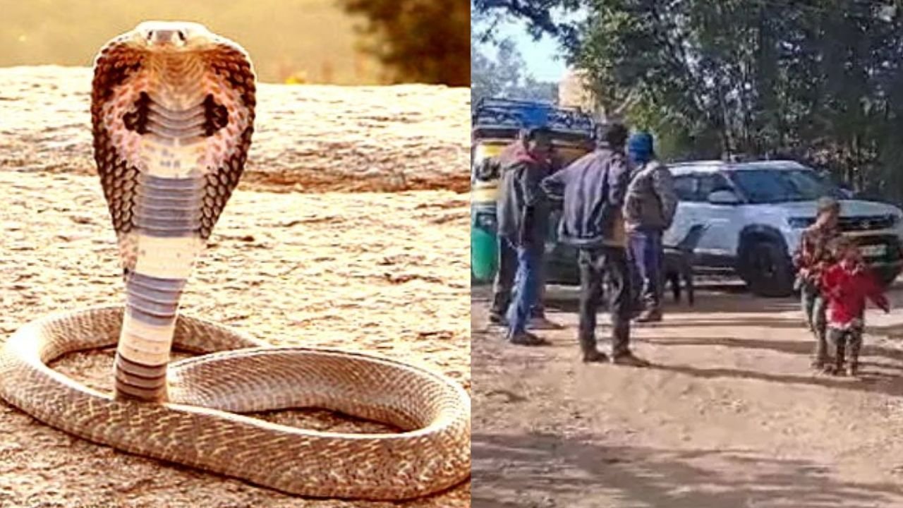 Jharkhand : शादी की खुशियां मातम में बदली, सोते समय सांप के डसने से दो महिलाओं की मौत