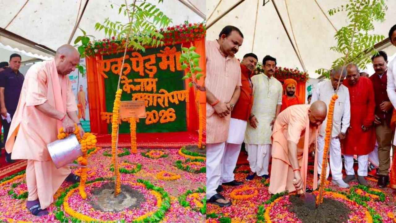 UP में 35 करोड़ पौधरोपण महाअभियान की शुरुआत : CM योगी ने गोरखपुर से किया शुभारंभ, 11 बजे तक लगे 14 करोड़ से ज्यादा पौधे