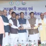 CG News: A gift of happiness reaches forest dwellers' accounts; ₹162.32 crore in incentive payments for 7.14 lakh tendu leaf collectors.